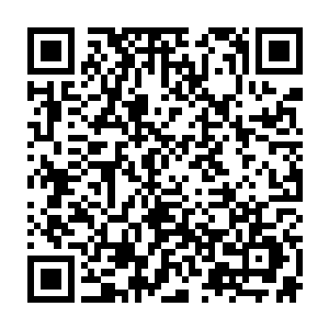 在世界上任何国家都会人人喊打遭人唾弃……如果你们今天不动那两个女人二维码生成