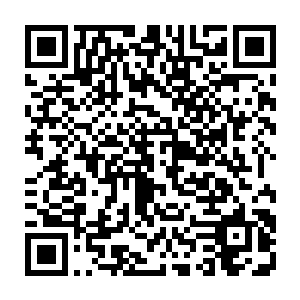 在两名赤血铁胆的大忠臣黑风王李耀和猎妖师协会会长东方明月的辅佐之下二维码生成