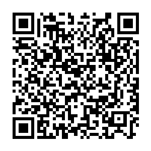 在中千世界采集的众多灵药中最珍贵的便是一株通体赤红的苍劲老树二维码生成