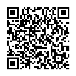 在中原有着一小部分跟随小罗天的势力・既没有伤害上古许家二维码生成