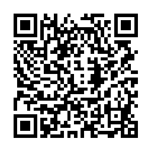 在为二皇子进行成人礼的受洗时亲口向皇帝传达了神谕二维码生成