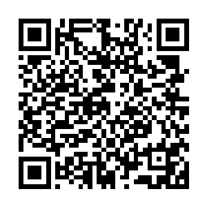 在之前三场比赛里表现出色的新人荣并没有继续他神奇的表现二维码生成