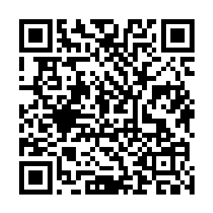 在书架最下层的角落中发现一本满是灰尘破旧不堪的武技二维码生成