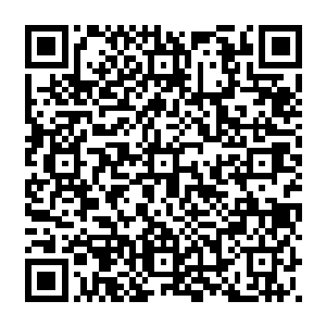 在人民群众参政议政能力还比较弱或者说参政议政习惯尚未完全养成的国情现实下二维码生成