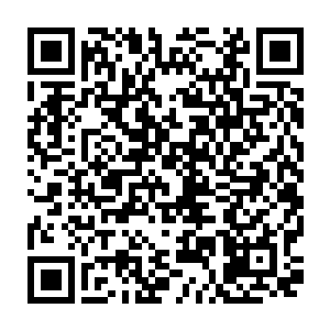 在仇人面前丢人和打断赶鄙视他的草摩由希的鼻梁这两件事在心里一衡量二维码生成