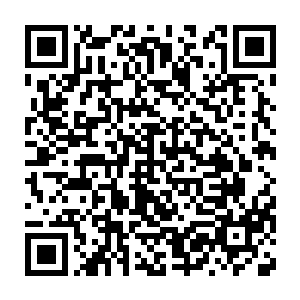 在今年上半年同样确立了电气电控设备制造产业为核心主导产业后二维码生成