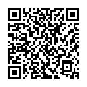 在他之前已经有两人和他实力相当的半皇高手死在了叶尊手上了二维码生成