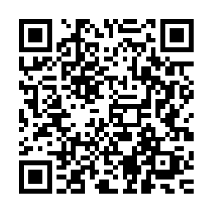 在他们两个人的身上不断的绽放出了一个又一个的血窟窿……二维码生成