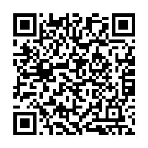 在他们两个的右手中同时出现一把一模一样的五色剑二维码生成