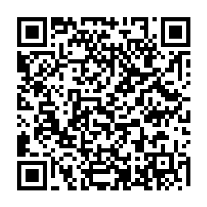 在他们中最强大的夏离愤怒的一拳会被一个剑士初期巅峰境界的武者挡住二维码生成