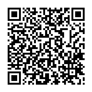 在他们仰天长啸的过程中可以看到他们的眼睛和嘴巴之中有寒光暴露出来二维码生成