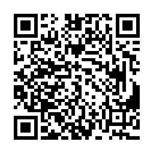 在他们的前方是魔主率领着剩下的魔族修士向着他们飞掠而来二维码生成