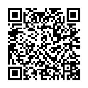 在他们看来龙傲天用手抓他们的武器这简直跟找死没有什么区别二维码生成