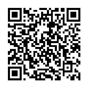 在他们眼里人族可不就是已经捞到自己碗里的美食么二维码生成