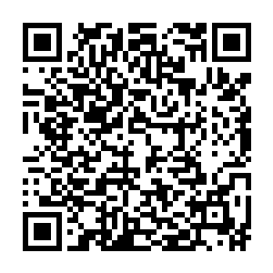 在他们走神的一瞬间亡灵君主蓄势一发顿时僵围困他的亡灵骨牢给挣脱了二维码生成
