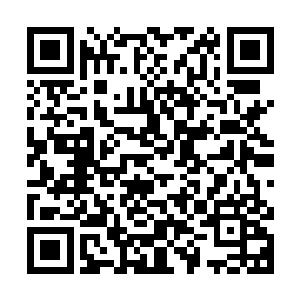 在他体内爆开的铁血暗劲瞬间就让他的双眼充血红得跟兔子似地二维码生成