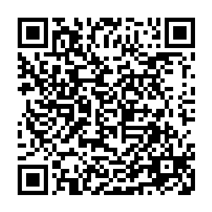 在他的脑海里回放着一幕幕逃亡过程中死士们被阴煞之气撕裂的恐怖场景二维码生成