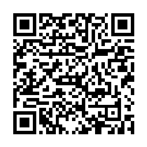 在他的身旁还站着数名跟他差不多狼狈的堂主和副盟主二维码生成