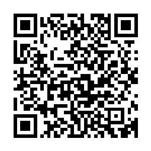 在他身边是打扮得象个富家翁的梁兴邦和妾室般存在的玉婉娘二维码生成