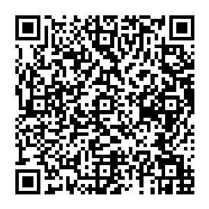 在他还是武师的时候他吸收一颗三十二阶的精灵宝钻和吸收一颗二十阶的精灵宝钻多花不了多少时间二维码生成