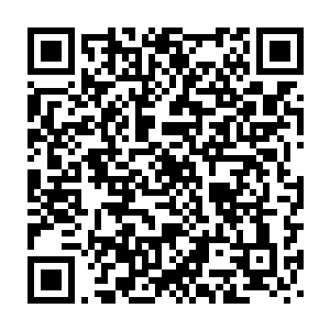 在他锋利如手术刀的目光注视下王爷与奴隶在生理结构上毫无差别二维码生成