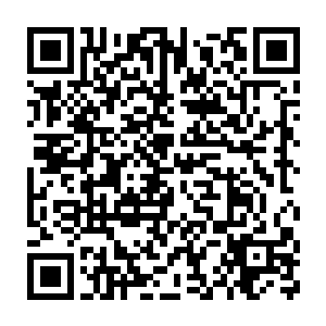在他面前这五口巨大的被他猜测是存放了珠宝黄金的箱子内所放的二维码生成