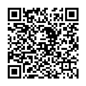 在以往无数次的交锋当中龙组当然是占据了绝对的优势二维码生成