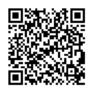 在众人登山的时候就已经能准确的看到叶秋的位置二维码生成