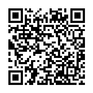 在你们万邪殿复出的那一刻起就注定了我们永远不可能成为朋友二维码生成