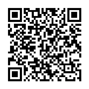 在你回去的时候再把你带来的钱原封不动的带回去二维码生成