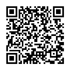 在你多次虐待之后终于被你以残忍的手段活活的打死二维码生成