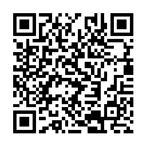 在你妹妹眼中不是你才和甄妮是天造地设的一双么二维码生成