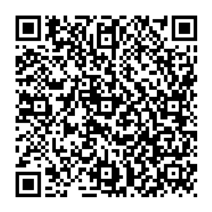 在修真界中有很多修真者为了提升法宝的等级则会捕杀一些凶兽或者妖兽的魂魄然后通过一些秘法注入到法宝中二维码生成