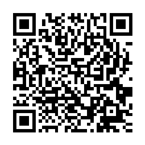 在其他人羡慕的眼神中做个调皮的表情跟着进老板办公室去了二维码生成