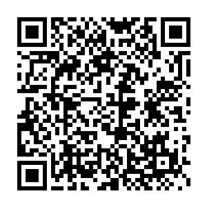在其他家族和自己家族无法完全的霸占住城池乃至整个岛屿的前提下二维码生成