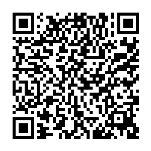 在冰原巨熊部落的十万大军开始朝着冰雪荒原南部的海德拉冰川裂缝冲去的时候二维码生成