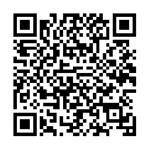 在几万年前的古圣界经常能从地里挖掘出他们的遗骨和法宝二维码生成