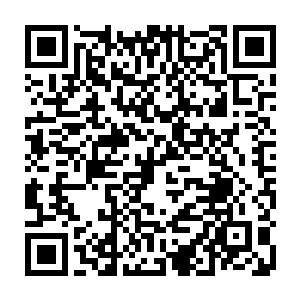 在出生时就由血脉源头的强大和纯净程度决定了一生所能达到的力量顶峰二维码生成