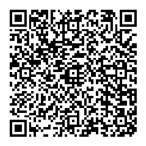 在刺杀之下轰然陨落渣滓都不曾剩下然而就在此时四方忽然传來一股强大的气息伴随着无数怒吼金戈铁马似乎有大军碾压而來二维码生成