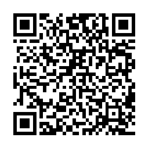 在刺穿了巨汉右掌的同时也将他半截手掌给生生切了下来二维码生成
