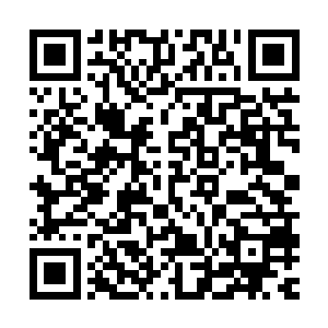 在加上一些执政手段传到华夏后被媒体推波助澜的大肆宣扬一番二维码生成