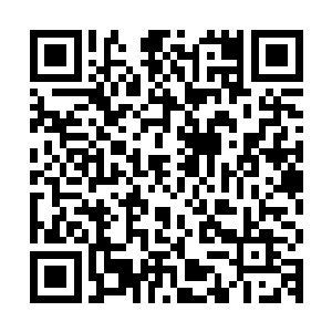 在加上几叶青菜和这细长的面条后散发出的香味是一种很奇特的二维码生成