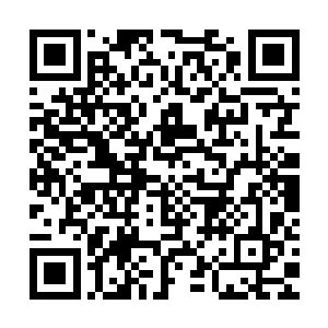 在十数里外的岸上燕军从今日清晨开始便不断地分批乘小舟前来二维码生成