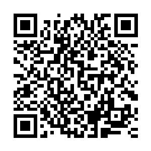 在半空中交手的盈盈和李修义也发现了李梦婕和程国栋的到来二维码生成