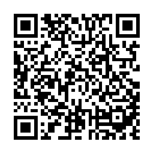 在南港拍卖到了一千九百万的那种……那种顶级翡翠手镯吧二维码生成