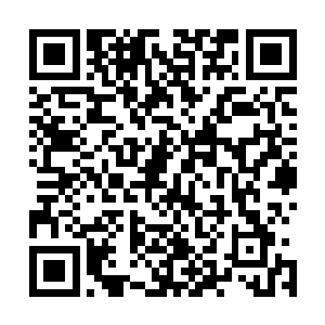 在发现那金鱼状的翡翠料子上顶着的两颗黑珠子真的是翡翠二维码生成