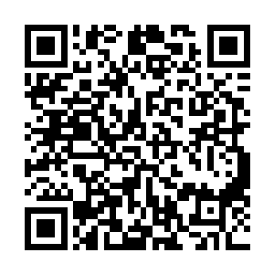 在古林兽那边第一次与剑尘相遇的白长林几人也全部在列二维码生成