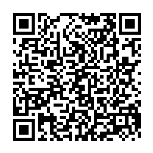 在叶笑想要将二货塞在屁股底下暖一暖屁股这一动作付诸行动的时候二维码生成