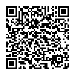 在后院不起眼的角落发现乳母陈氏张氏的尸首……一定是有人趁着臣妾不在二维码生成