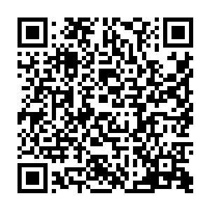 在听到墨瑞云叫嚣着一定要父皇惩治他们的时候终于忍不住一个耳光甩了过去二维码生成